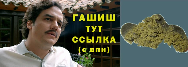 гидра Алексин