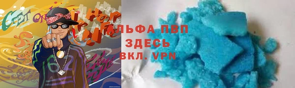 гидра Алексин