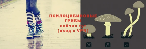 гидра Алексин