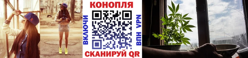 kraken зеркало  даркнет как зайти  Бошки Шишки VHQ  Губкин 